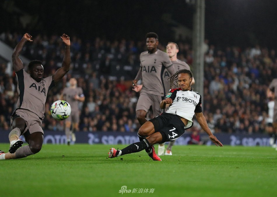 乒乓球新生 乒乓球新生